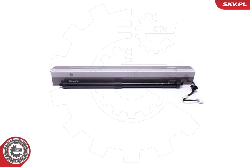 Electric Motor, tailgate